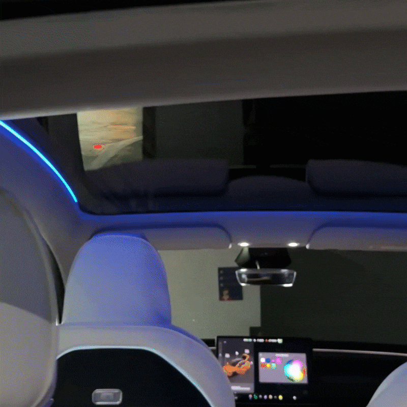 Panoramic Roof Streamer Ambient Light for Tesla Model Y